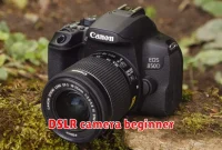 DSLR camera beginner