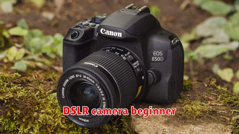 DSLR camera beginner