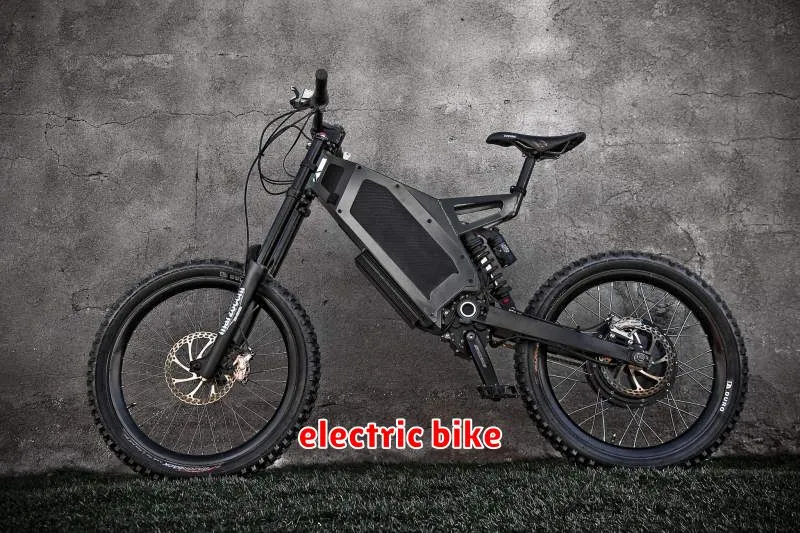 electric bike