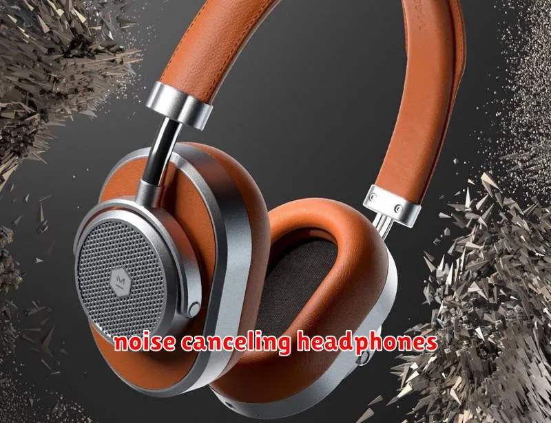 noise canceling headphones