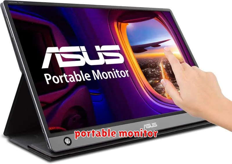 portable monitor